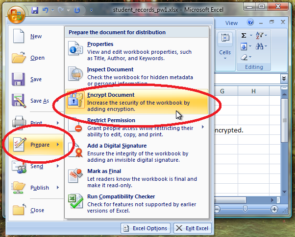Hover the mouse pointer over Prepare and then click Encrypt Document