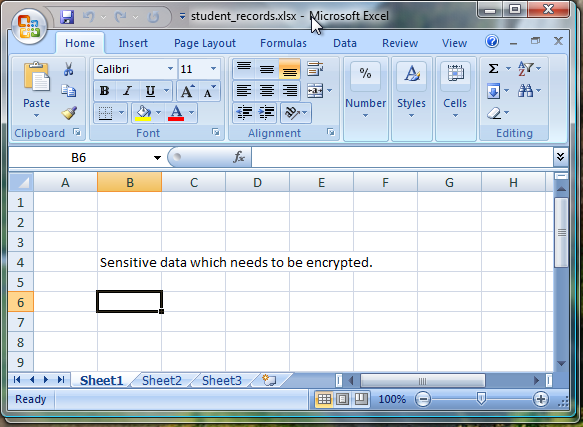 Work with your encrypted data as you normally would