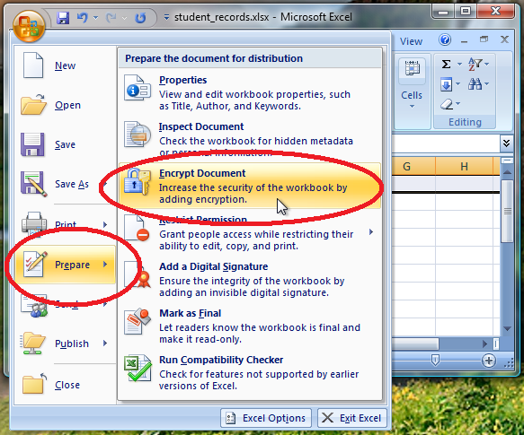Hover the mouse pointer on Prepare and then click Encrypt Document.