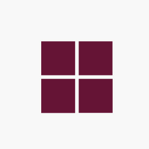 Windows icon