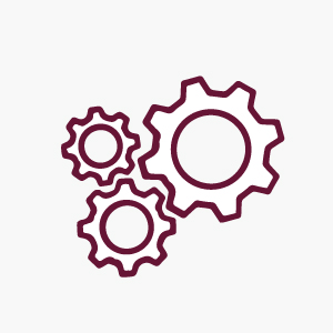 Settings cogwheel icon