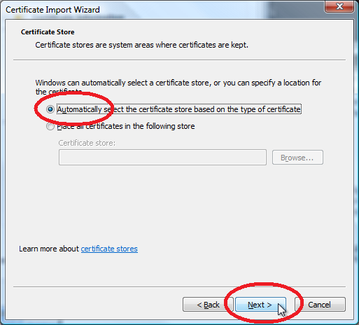 Select Automatically select the certificate store based on the type of certificate and then click Next.